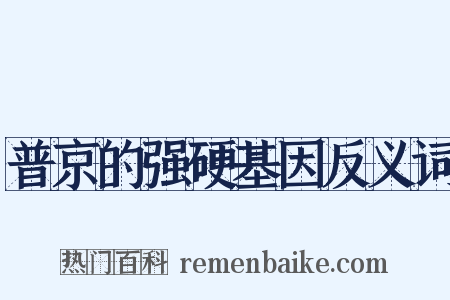 普京的强硬基因反义词是什么意思的图片